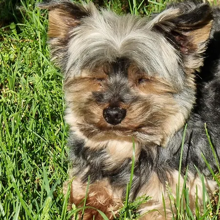 La Garenne D 'hotes *